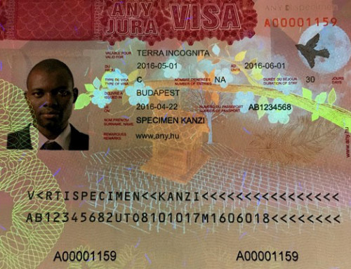 Visa sample
